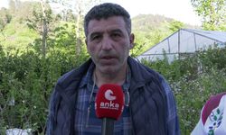 Rize Fındıklı Ziraat Odası Başkanı Mehmet Özsoy: “2025 yılı yaş çay fiyatı 35 lira olmalıdır”