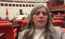 Sibel Suiçmez, Taksim'de "Duran Adam" eylemi yapan gençlerin gözaltına alınmasına tepki gösterdi: "Derhal serbest bırakılmalıdırlar"