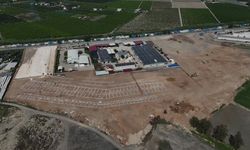 Tarsus’ta kurbanlık hayvanlar tek noktada satılacak
