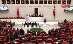 TBMM Genel Kurulu... CHP'li Arpacı: Mehmet Şimşek gitse Keynes gelse faydası yok