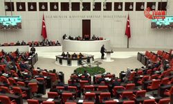 TBMM Genel Kurulu… CHP’li Gülcan Kış:  