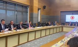 TBMM KİT Komisyonu... CHP'li Akbulut: "Ulusal Süt Konseyi'nin yem fiyatlarını kontrol edemediğimiz sürece hiçbir anlamı yok"