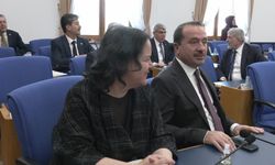 TBMM Plan ve Bütçe Komisyonu... "Cumhurbaşkanına TSK'da  'disiplinsizlik' nedeniyle görevden alma yetkisi" veren maddeler yeniden değerlendirilmek üzere geri çekildi