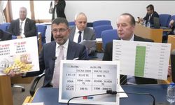 TBMM Plan ve Bütçe Komisyonu... Fatih Karahan: "22 Mart 2024 ile 25 Nisan 2025 tarihleri arasında, brüt rezervler 17 milyar dolar artış gösterdi"