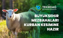 Tekirdağ Büyükşehir Belediyesi'nden Kurban Bayramı’nda kesim hizmeti 