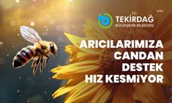Tekirdağ Büyükşehir Belediyesi’nin “Arı Yaşam Gücü Projesi” için başvurular başladı