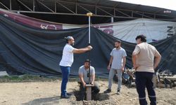 Turgutlu Belediyesi'nden can dostların yaşam koşullarını iyileştirecek çalışma