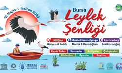 ‘Uluslararası Bursa Leylek Şenliği’ başlıyor