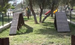 Yenişehir Belediyesi'nden patili dostlara özel gezinti parkı 