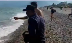 Konyaaltı sahilinde köpek balığı paniği
