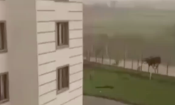 Fırtınada çocuğun üzerine çatı parçası düştü!