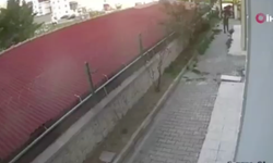 Ankara’da yavru köpeklere eziyet eden zanlı tutuklandı