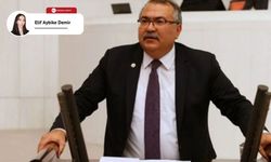 Süleyman Bülbül: Suç işliyorlar