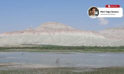 Doğaseverlerin ve fotoğraf tutkunlarının uğrak noktası