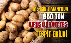 Mersin Limanı’nda yapılan denetimlerde virüslü patateslere rastlandı!