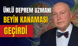 Deprem uzmanı Ahmet Ercan beyin kanaması geçirdi