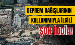 Kızılay’a yapılan deprem bağışlarının kullanımı yargıya taşındı