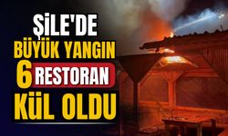 Şile'de büyük yangın: 6 restoran kül oldu