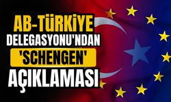 AB-Türkiye Delegasyonu'ndan "Schengen" açıklaması