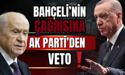 Bahçeli'den PKK sonrası için meclis komisyonu çağrısı