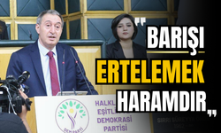 Bakırhan: Barışı ertelemek haramdır