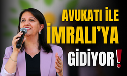 Pervin Buldan ile avukat Özgür Erol İmralı'ya hareket etti