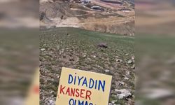 Ağrı'nın Diyadin ilçesindeki altın madeni projesine çevrecilerden tepki: "Diyadin İliç olmasın"