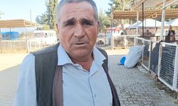 Aydın kurban pazarındaki besici: "Hayvancılık bitti, selasını okuyan yok"