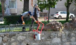 Bozüyük’te oturma banklarına ve çöp kutularına vandal saldırı