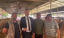 Burdurlu Besici Hüseyin Ülkü: “Emeklinin 14 bin 500 lira maaş ile bir tane keçi alma şansı yok”