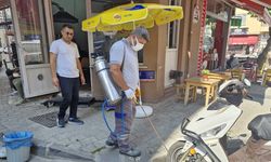 Çanakkale Belediyesi, vektörle mücadele çalışmalarına devam ediyor 