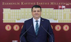 CHP Bursa Milletvekili Öztürk: "Et lüks değil, haktır. Yeniden komşularımızın sofralarına et koyacağız"