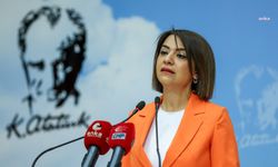 CHP Genel Başkan Yardımcısı Taşcıer: "TÜİK hayalflasyon'la iktidarın yükünü hafifletmeye çalışıyor"