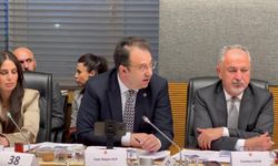 CHP'li İnan Akgün Alp: "İnfaz düzenlemesi adil değil, Anayasa’ya aykırı maddeler içeriyor"