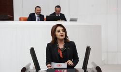 CHP’li Kış: “Bugün verilen 4 bin liralık ikramiyeyle ancak bir buçuk gram altın alınabiliyor”