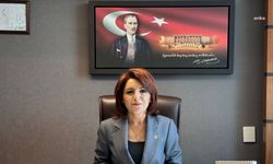 CHP'li Kış, tekstil sektörünün sorunlarını Meclis'e taşıdı