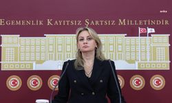 CHP’li Ösen, Ticaret Bakanı Bolat'a Bakan Yardımcısı Gürcan'ın “kanserojen ürün” açıklamasını sordu