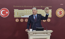 DEVA Partili Kısacık: "İktidarı stratejik bir ürün olan buğdayın üretiminin sürdürülebilirliği konusunda çiftçimize destek vermeye çağırıyorum"