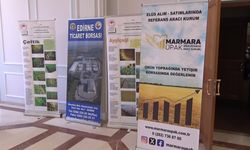 Edirne’de buğdayda beklenti dekara 500 kilogram