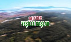 Ekrem İmamoğlu'ndan "Yeşil Türkiye Seferberliği" paylaşımı: Yaşam vadilerimizi bütün şehirlerimizde yaygınlaştıracağız