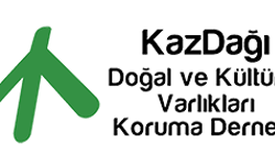 Enerjide yatırımcılara “süper izin” getiren yasa teklifi... Kazdağı Doğal ve Kültürel Varlıkları Koruma Derneği: "Teklifin yasalaşmasını engellemek için birlikte mücadele edelim"