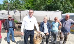 Giresun Belediye Başkanı Köse'den hayvan pazarına ziyaret 
