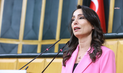 Hatimoğulları: "Bu uygulamalardan derhal vazgeçilmeli ve siyaset üzerindeki yargı baskısı sona erdirilmelidir"