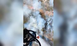İzmir Foça’da orman yangını 