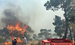 Karaburun'da orman yangınının yerleşim yerlerine sıçramaması için yoğun mesai