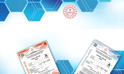 LGS, soru ve cevap anahtarı yayımlandı