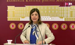 Meral Danış Beştaş: "Kutsal olan aile değildir; kutsal olan aile kurumunun içinde şiddetsiz, eşit ve onurlu bir yaşamın tesisidir"