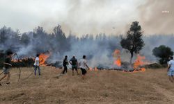 Muğla Büyükşehir Belediyesi ekipleri, 6 ayda 380 anız yangınına müdahale etti