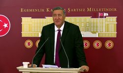 Ömer Fethi Gürer: "Çiftçiye 13 lira verilmesi 'bu işi yapma' demektir"