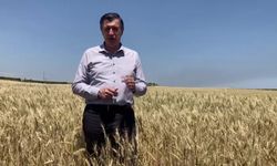 Prof. Dr. Gaytancıoğlu’dan buğday fiyatına tepki: “Üretimin devamını sağlayacak bir fiyat değil”